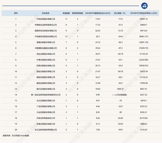 2024年IPO市场紧缩，大型券商主导地位凸显