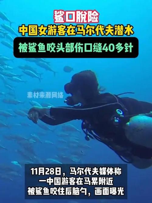 多账号发布“女子潜水时被取下面罩威胁”，三亚潜水协会回应